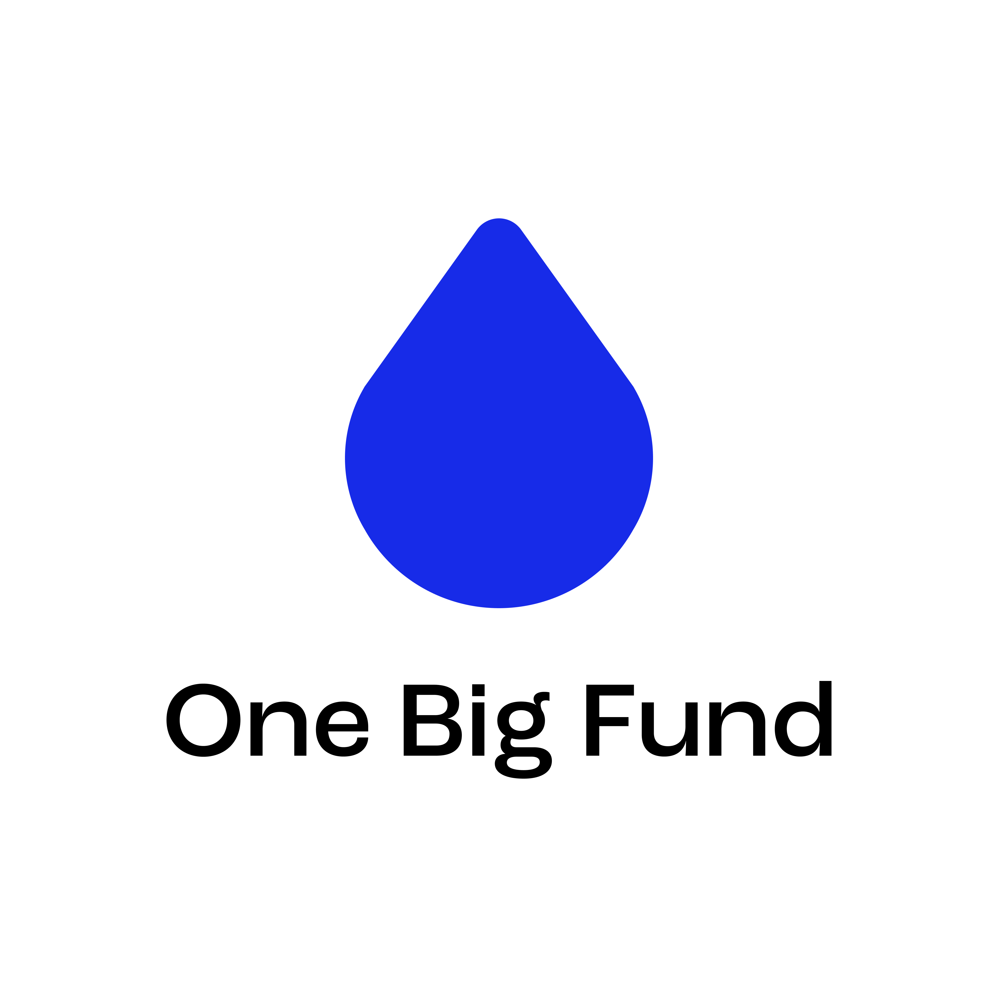 One Big Fund Logo