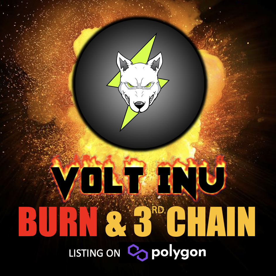 Volt Inu Burn and Listing on Polygon