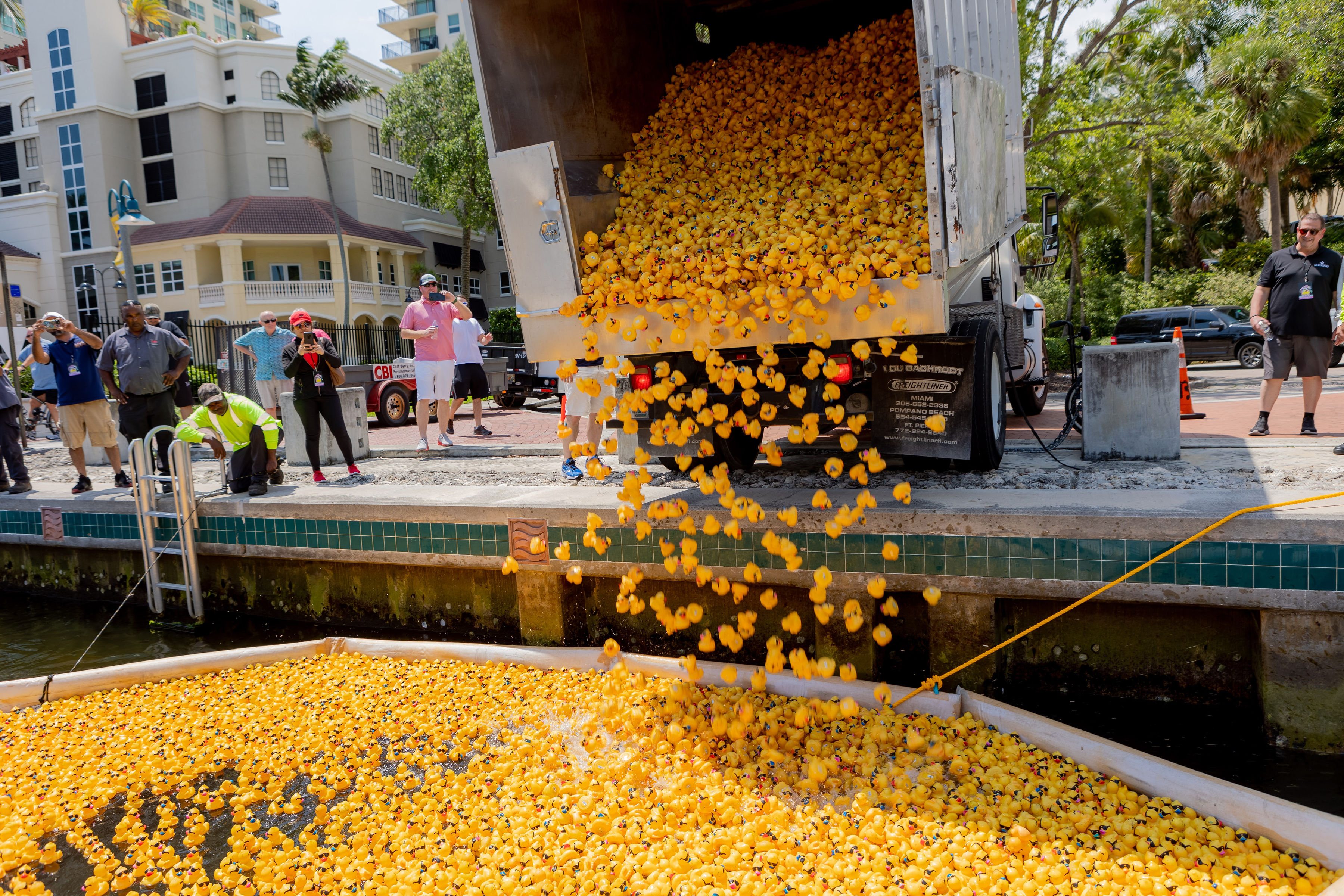 40000 rubber ducks available to adopt in support of Kids In Distress