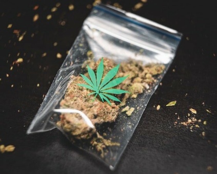 cannabis plastic bag waste