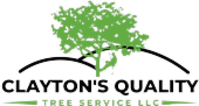 Clayton’s Quality Tree Service LLC Announces Free Tree Removal Consultation Services for Deltona and Deland Residents