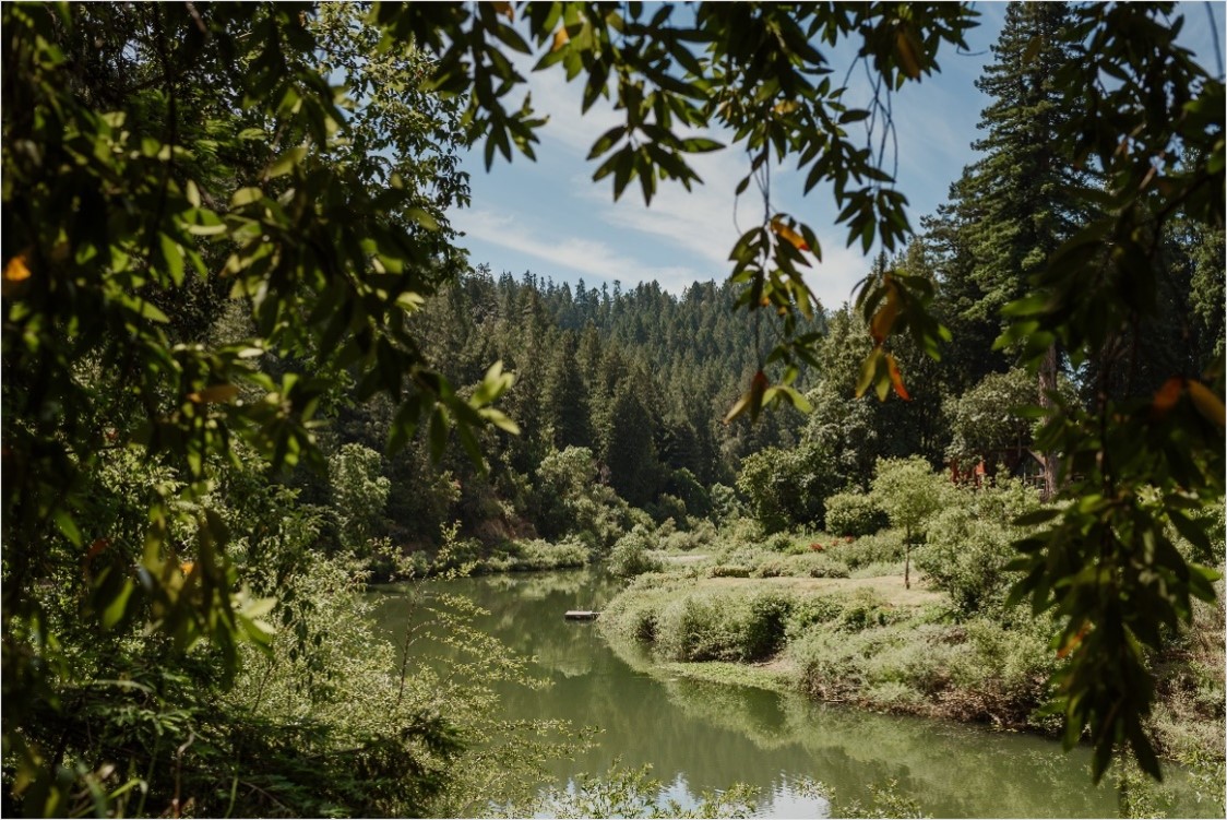 Save the Redwoods League acquires a 394-acre forest with 1 mile of Russian River frontage near Guerneville, California. Photo by Vivian Chen.