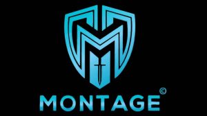 Montage Token – Assembling the Future Gold Standard of Crypto