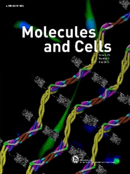 Elsevier partners with the Korean Society for Molecular and Cellular Biology to publish Molecules and Cells.
