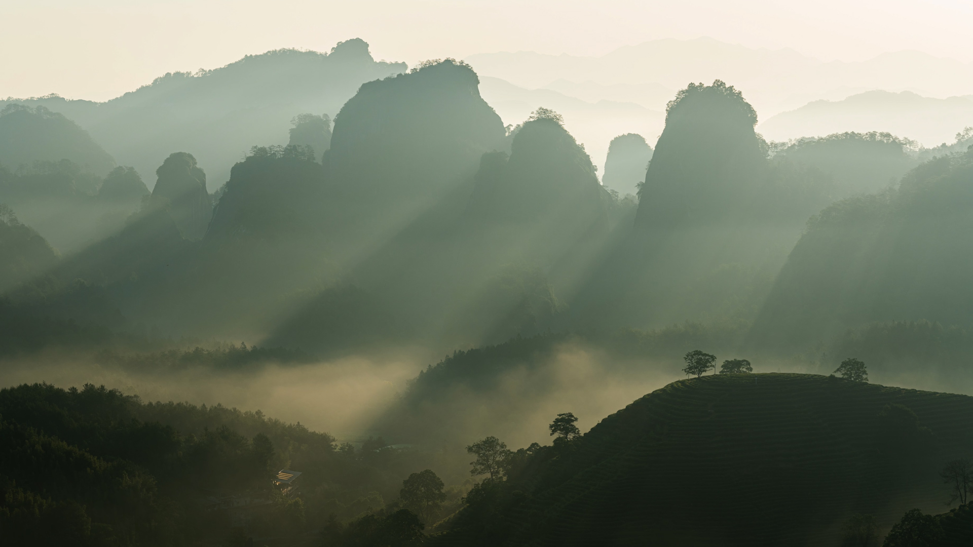 Wuyi Mountain in China&#39;s Fujian Province.