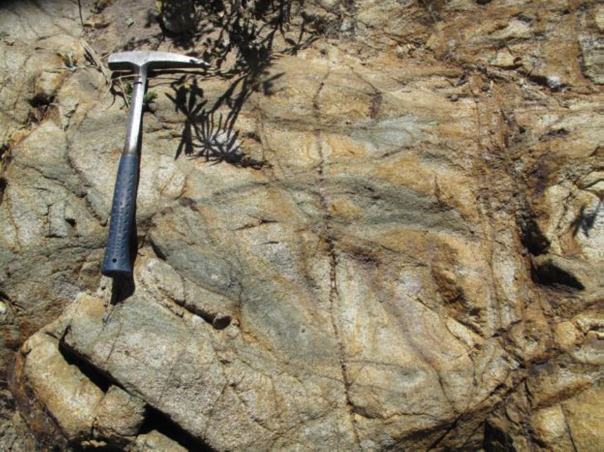 Figure 5 - Outcrop of leached potassic altered granodiorite with dark green bands of chlorite after secondary biotite characteristic of EHT bands later cut by quartz veins.