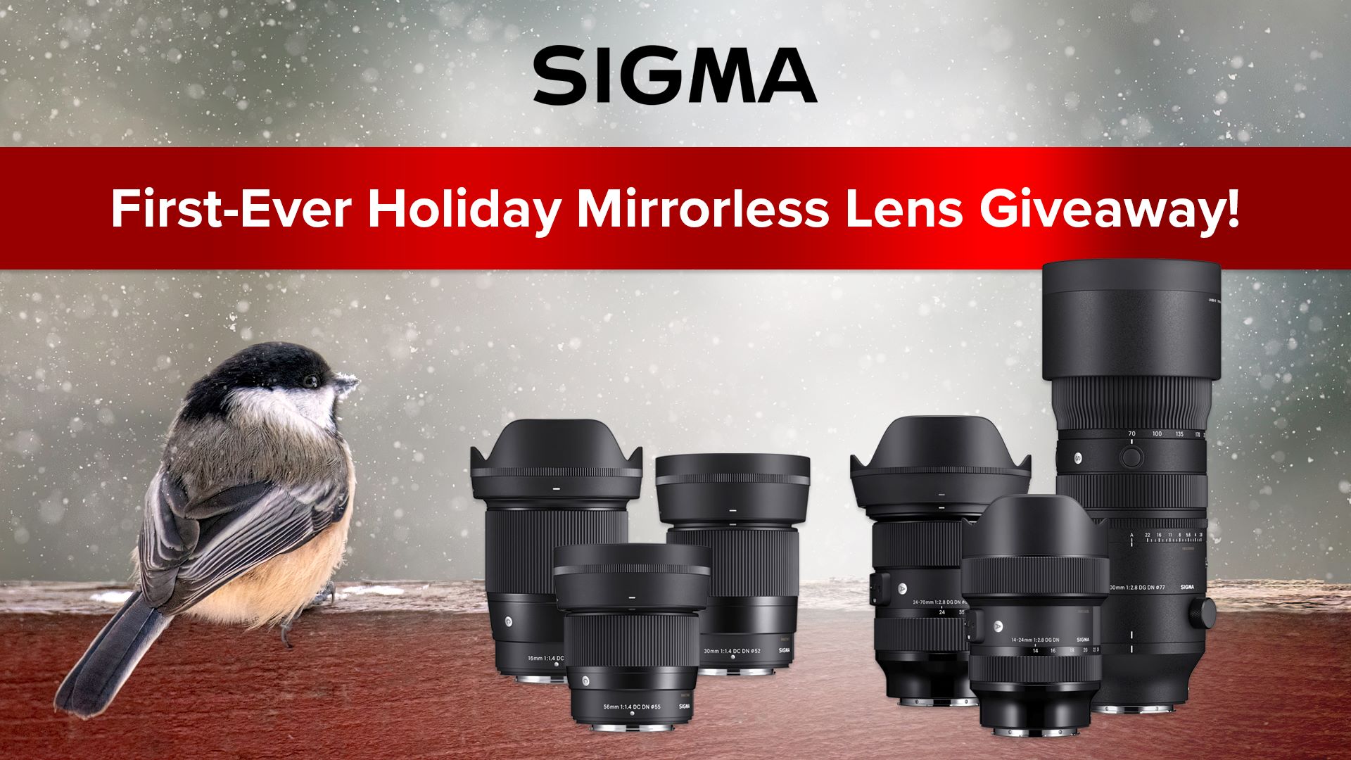 Entrants get a chance to win four lens packages  one each week of December  worth up to $3,997 each