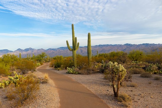Arizonas varying climate makes it a great place to test Veritas Global Protections vehicle protection plans.