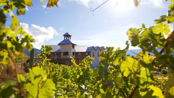 Hillside Winery Marks 40 Years with the Launch of Their New Website — Which Celebrates the Region