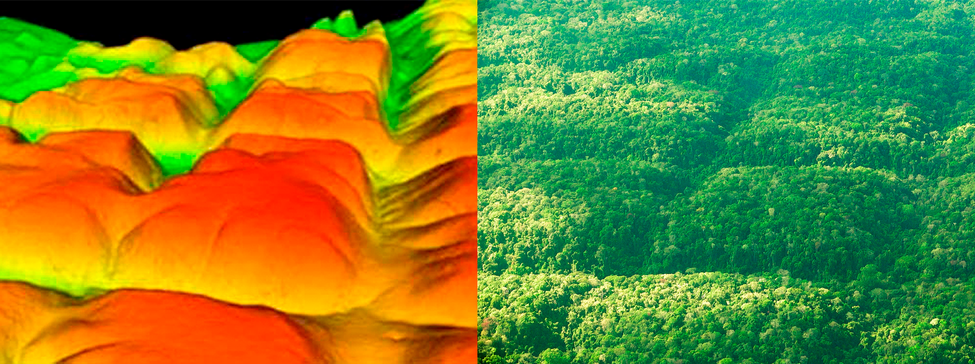 LiDAR Digital Terrain Model (DTM) - surface without vegetation and photo of blocks with vegetation