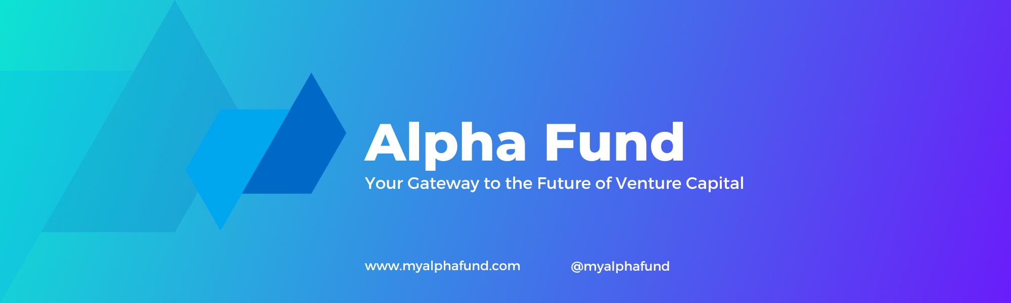 Alpha Fund LinkedIn Banner