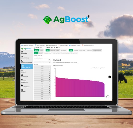 AgBoost cloud-based data analysis platform helps cattle producers interpret genomic data for selective breeding, health, market value and nutrition management.