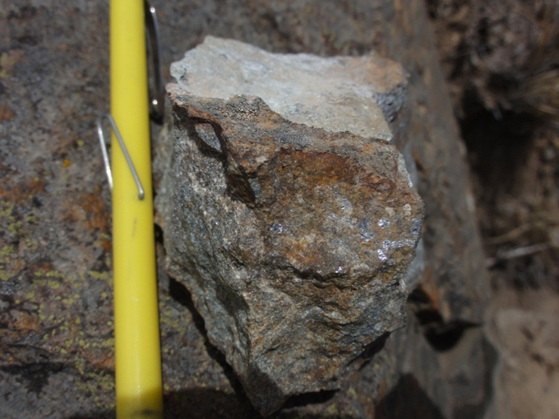 Figure 4: A type B-vein with disseminated molybdenite crosscutting a dacite pyroclastic tuff at the Cerro Quillo Porphyry Au-Cu-Mo Prospect.