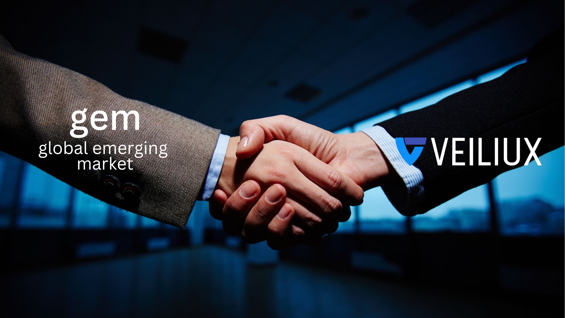 Veiliux to Become The First of It’s Kind Audit Firm to Secure Record-Breaking $30 Million IPO Share Subscription Deal with Global Emerging Markets Investment